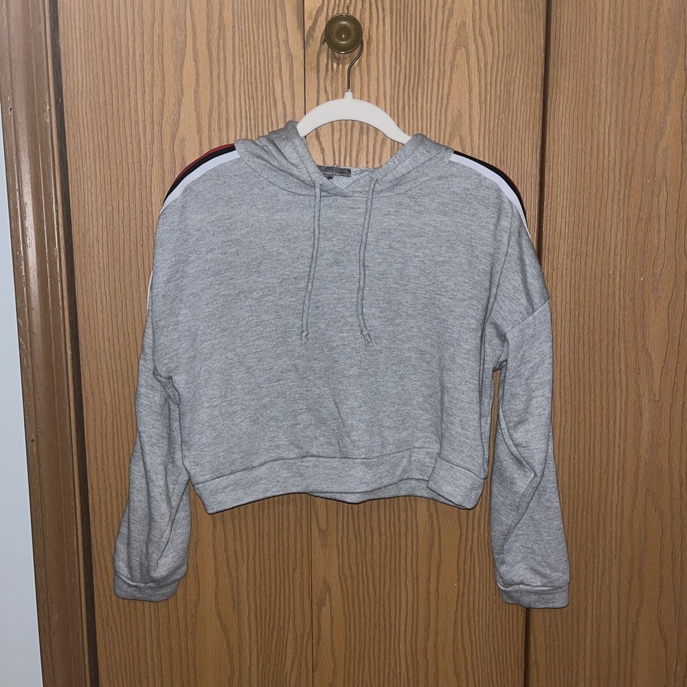 Charlotte Russe Cropped Hoodie